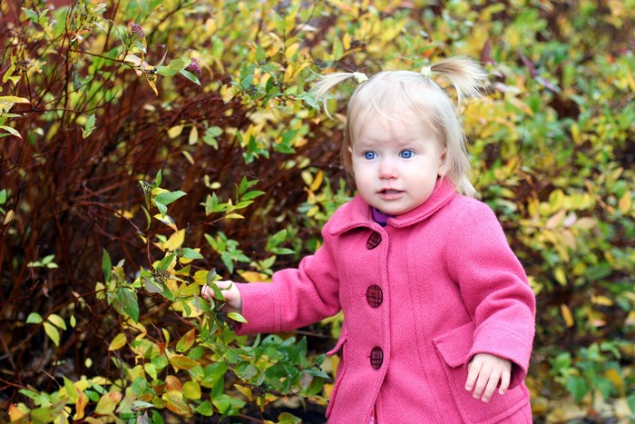 Little girl in pink coat