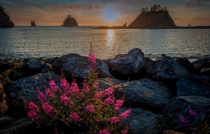 4K Sunset Over Olympic National Park Coastline