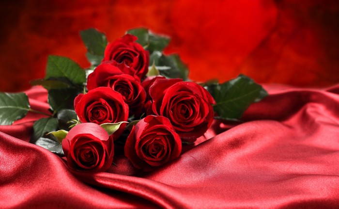 Red Roses on Red Silk Fabric