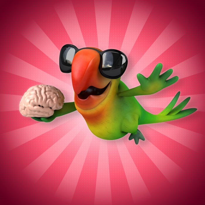 Parrot Wearing Sunglasses Holding a Brain