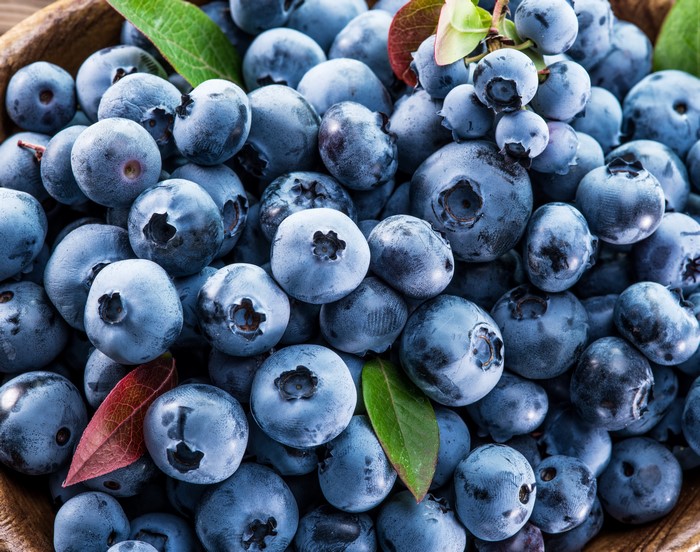 Blueberries in a wooden bowl