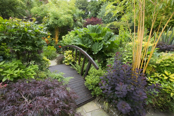 Garden with a wooden bridge and various plants in Walsall, England