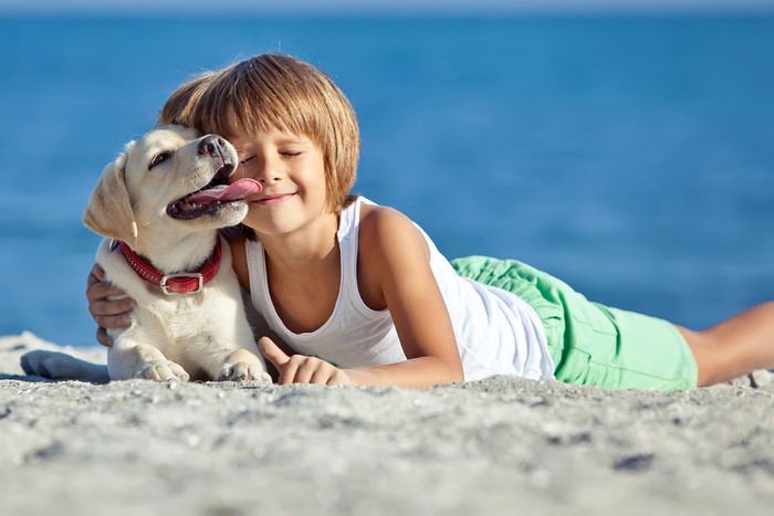 Boy and Labrador puppy on a beach
