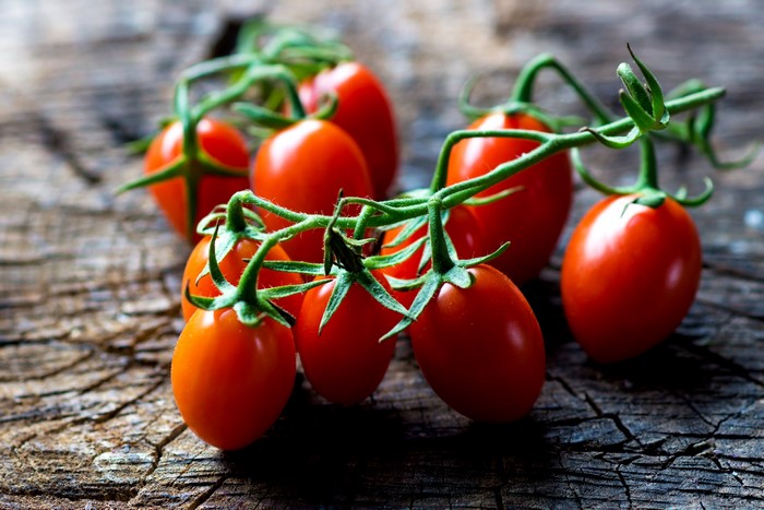 Cherry tomatoes on branches