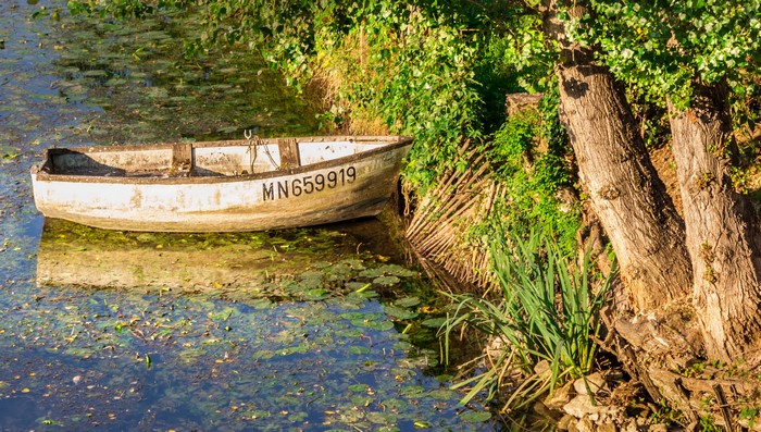 Old white boat with registration number MN659919 on a calm river