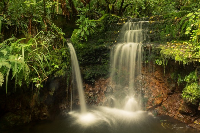 Waterfalls in Leith Valley, Dunedin, New Zealand
