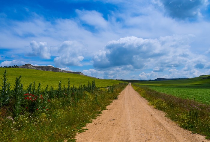 Dirt road through green fields under a cloudy blue sky in Castilla, Spain