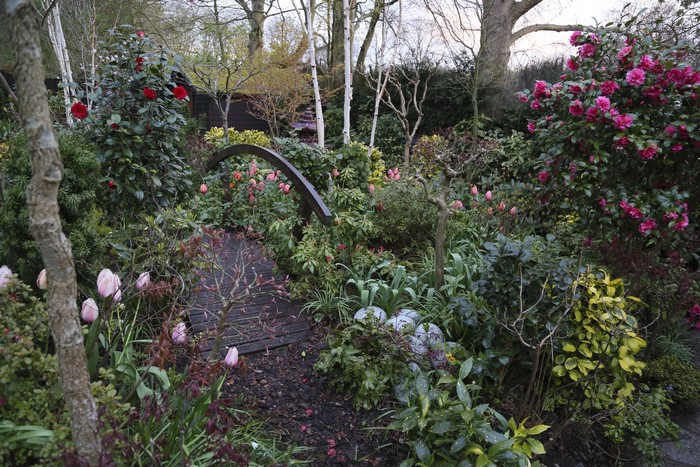 Garden with a wooden bridge and flowering shrubs in Walsall, England