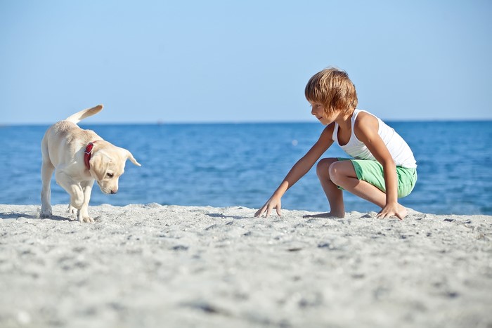 Boy and Labrador Retriever on a Sandy Beach