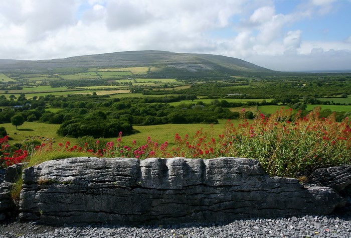 The Burren, Ireland: Rolling Green Fields and Limestone