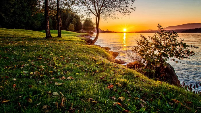 Sunset over a calm lake with grassy shore