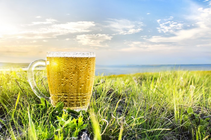 Beer Mug in a Grassy Field by the Water