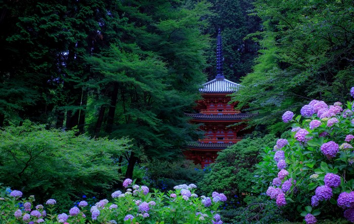 Red Pagoda in a Japanese Garden with Hydrangeas