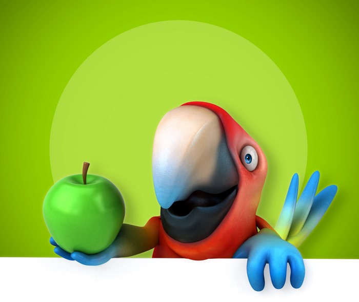 Parrot holding a green apple