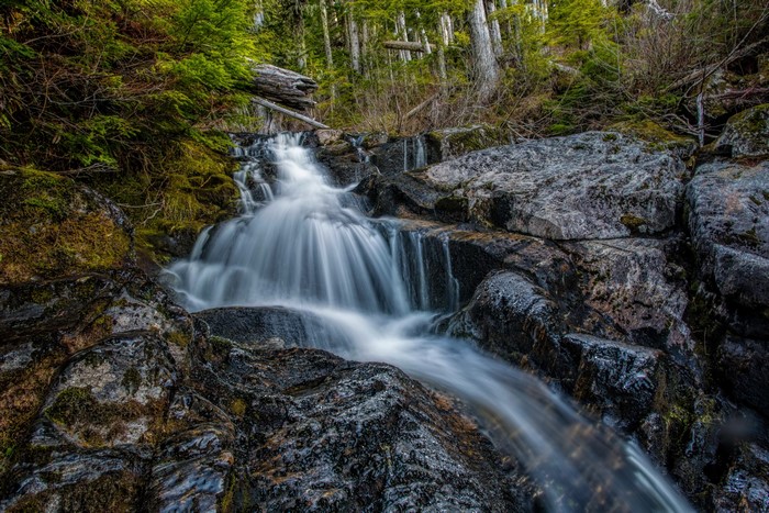 Waterfall over rocks in a forest