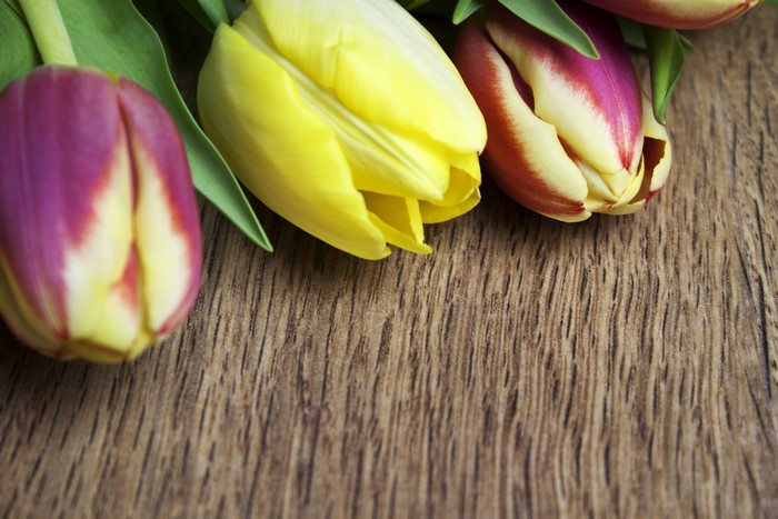 4K Tulips on Wooden Surface