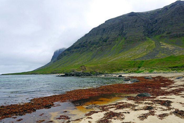 Green mountains and a beach in Westfjords, Iceland
