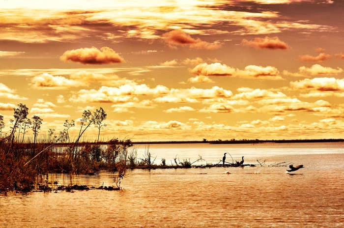 Birds on a lake at sunset in Argentina