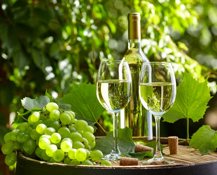 Two glasses of white wine with grapes and bottle