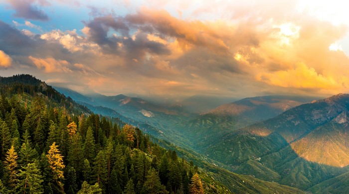Kings Canyon National Park Mountains and Forests at Sunset