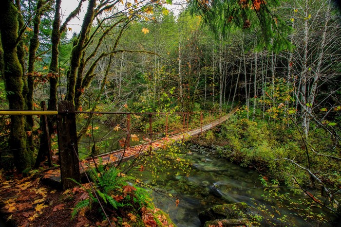 Harris Creek Suspension Bridge, Vancouver Island, Canada