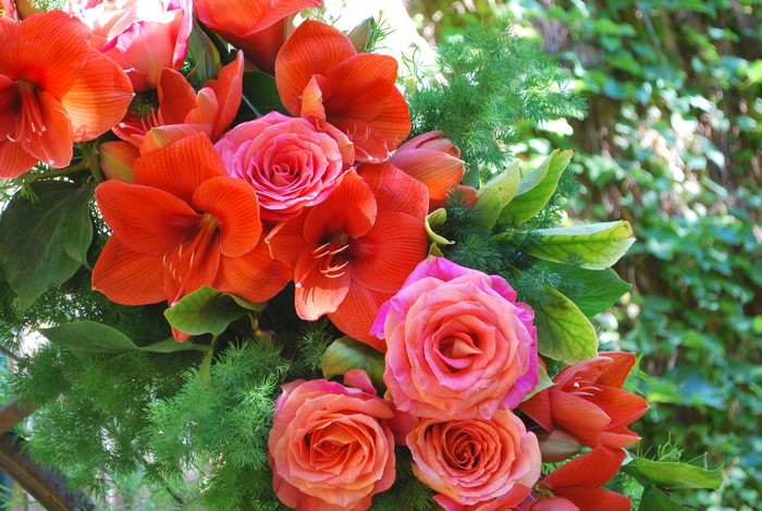 Bouquet of Roses and Amaryllis Flowers