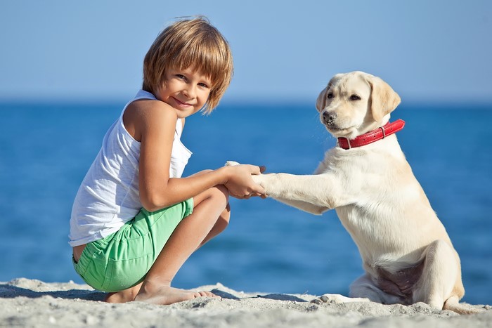 Boy and Labrador Retriever on a Beach