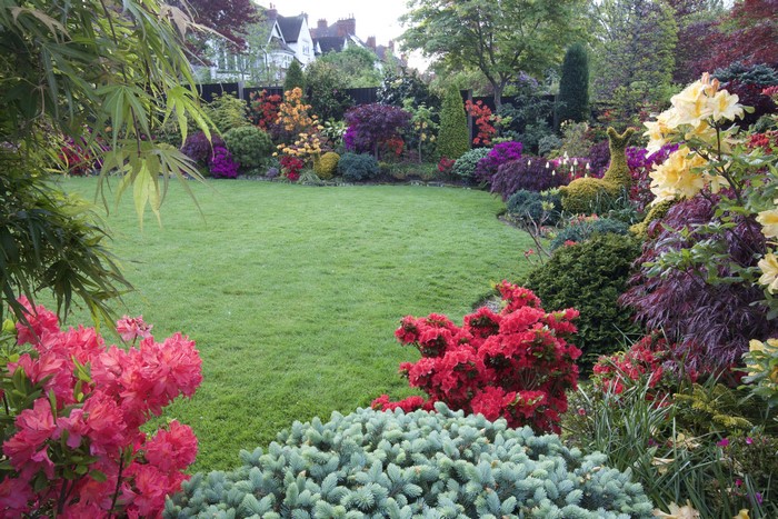 Colorful garden with rhododendrons and a manicured lawn in England
