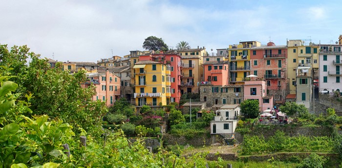 Colorful Houses in Corniglia, Cinque Terre, Italy