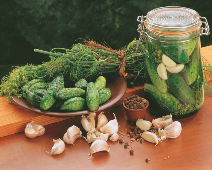 Pickling Cucumbers with Garlic and Dill in a Jar
