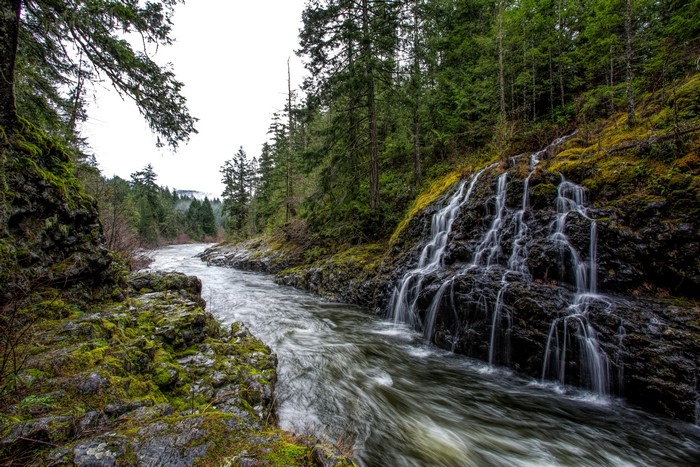 Sooke River Waterfall in Forest, Canada