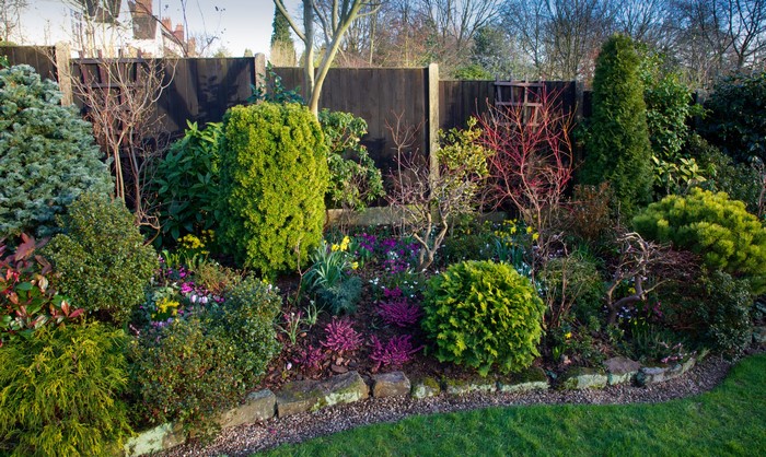 Garden with shrubs and flowers in Walsall, England