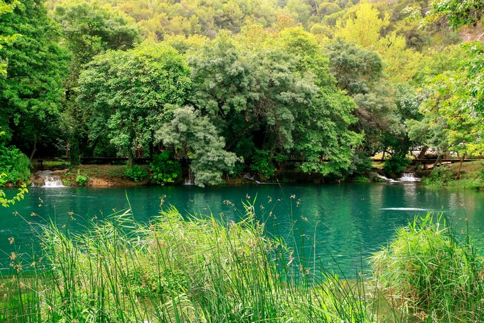 Turquoise lake surrounded by lush green trees and vegetation in Croatia