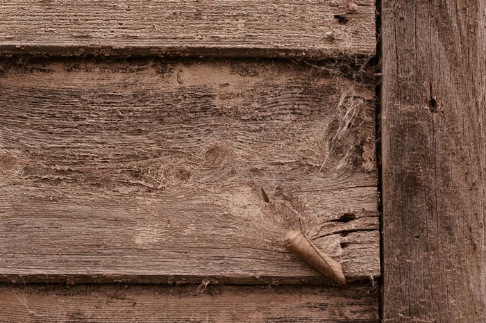 Wooden Texture with Spiderwebs