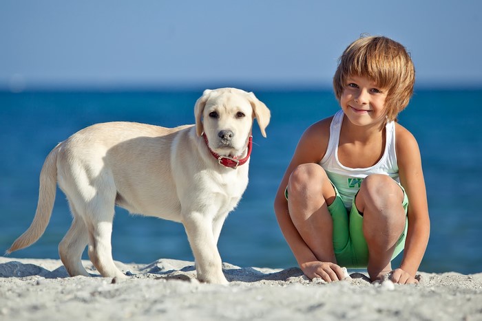 Boy and Labrador Retriever on a Sandy Beach
