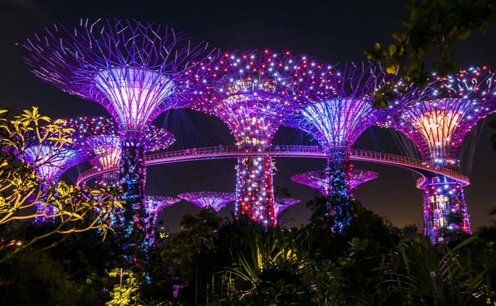 Gardens by the Bay Singapore at Night with Fairy Lights
