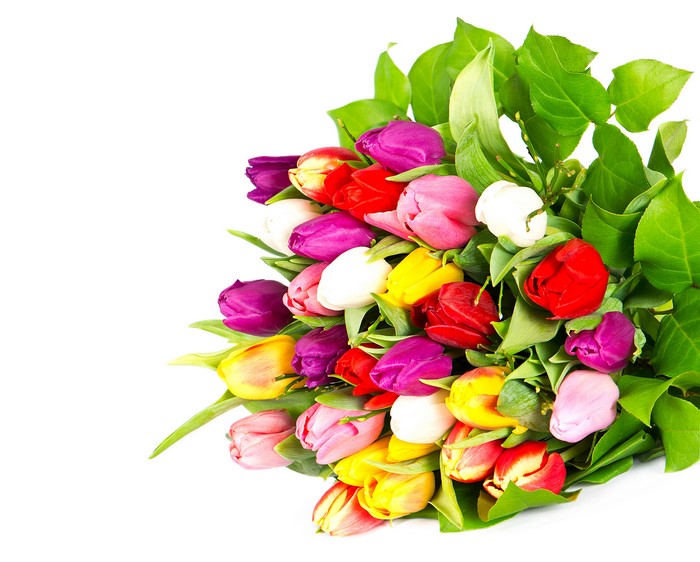 Bouquet of colorful tulips on a white background