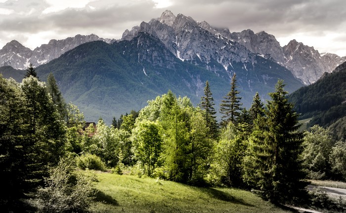 Mountains and trees in Slovenia
