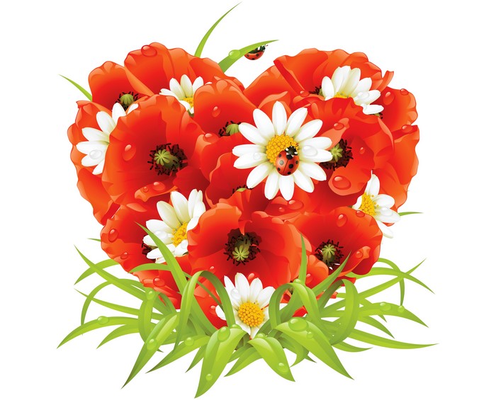 Heart of Poppies and Camomiles with Ladybugs