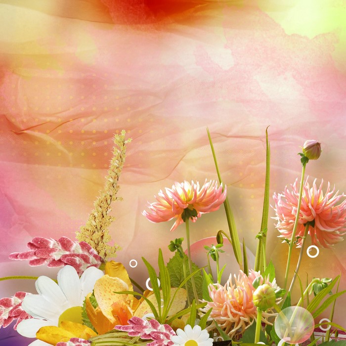 Dahlias and other flowers on a colorful background