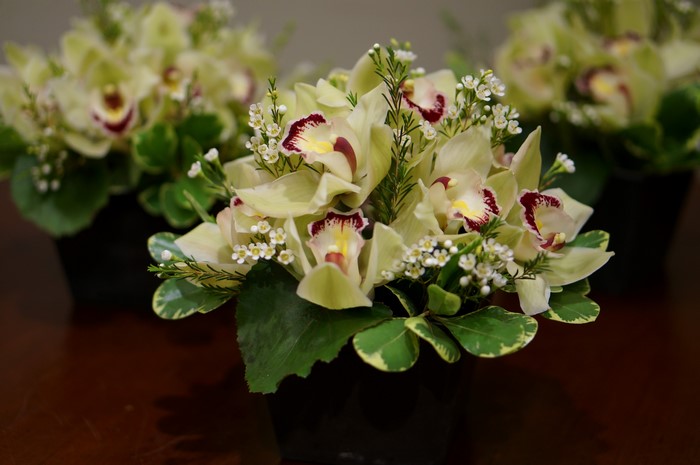 Light yellow orchids in black vases
