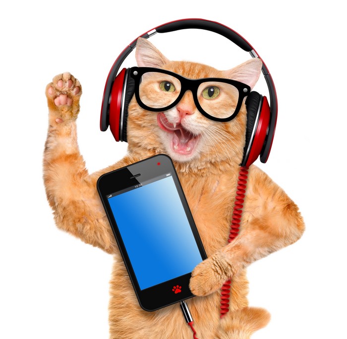 Ginger cat wearing headphones and glasses holding a smartphone