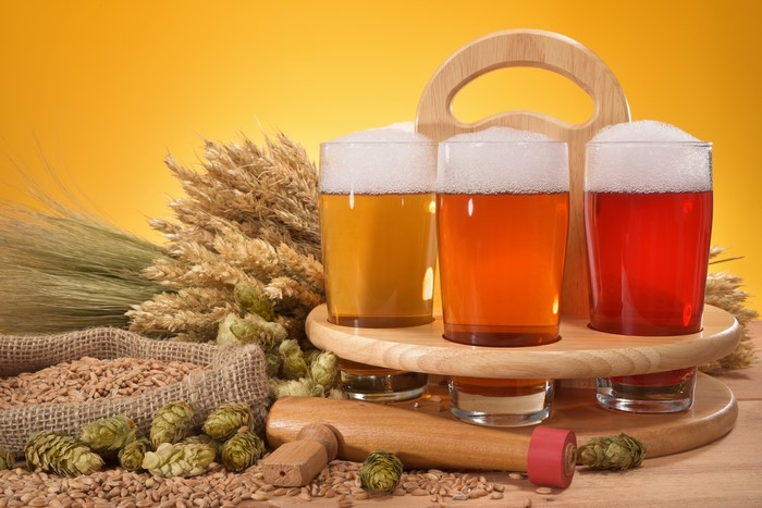 Beer tasting with wheat and hops