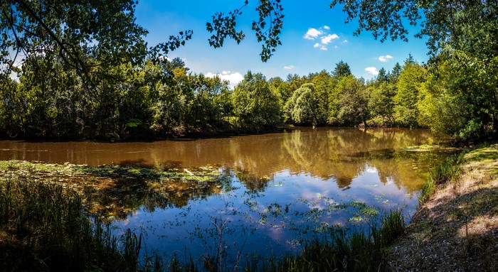 Lake and trees in France