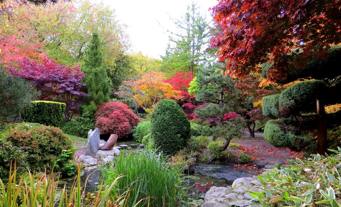 Calderstones Park Liverpool Autumn Garden