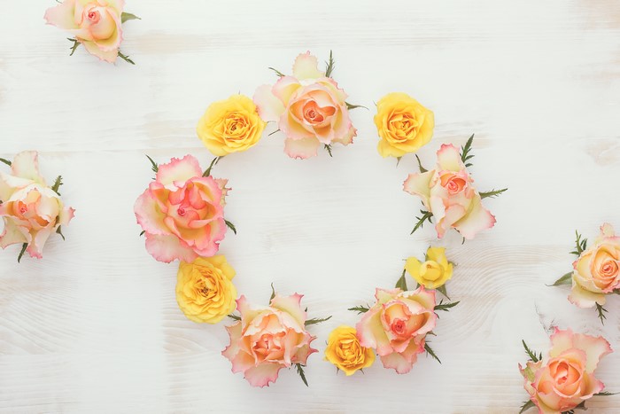 Roses Design 4K
