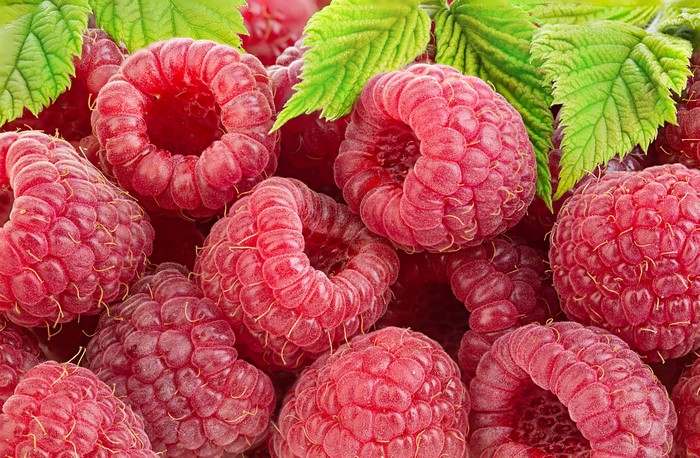 Raspberry closeup with green leaves