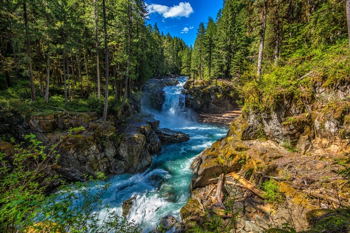 Silver Falls Ohanapecosh Waterfall in Washington