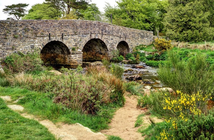 Stone bridge over a river in Postbridge, England