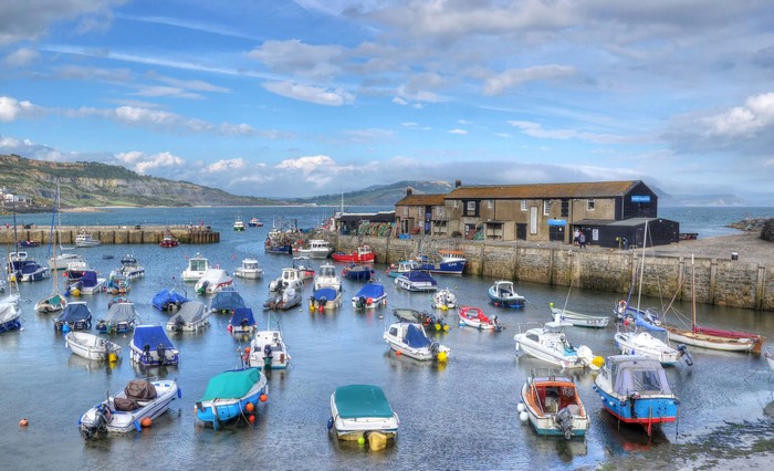 Boats docked in a harbor with buildings and hills in the background